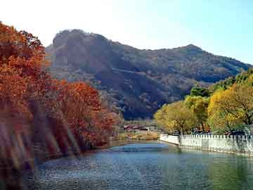 新澳门二四六天天开奖，乡村小子闯都市